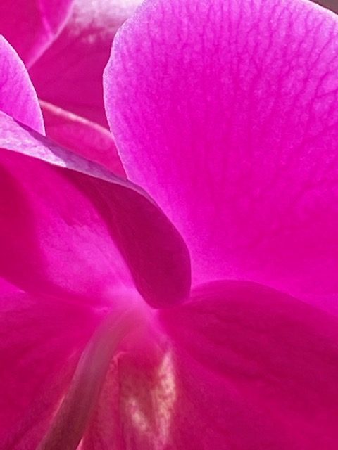 Perception and perspective Perception and perspective