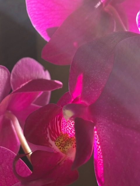 Perception and perspective Perception and perspective