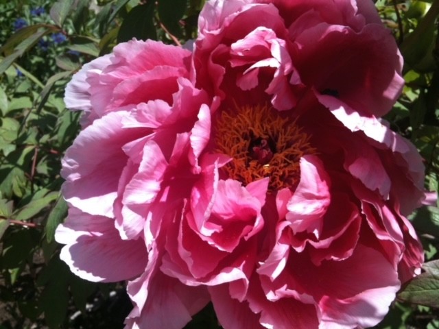 IMG_7660 Rethinking & Reconsideration | THEARTOFSELFCRAFTSMANSHIP.ORG