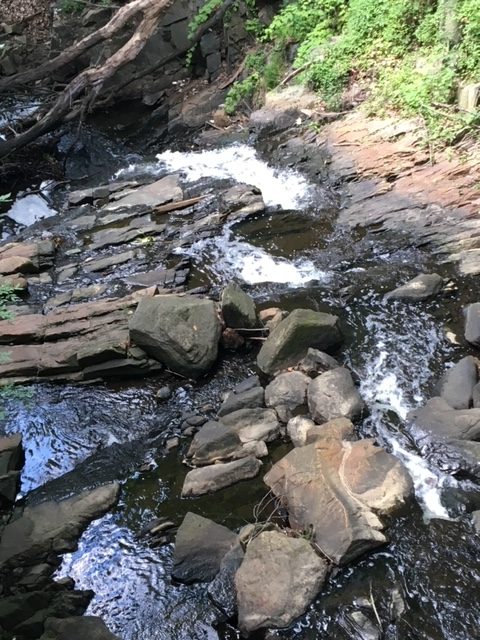 After covid 19 After covid 19