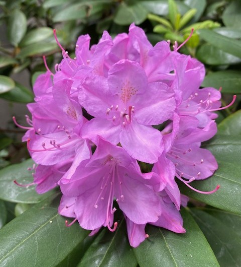 Art of Self Craftsmanship Art of Self Craftsmanship