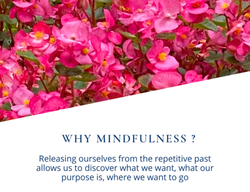 Why Mindfulness?